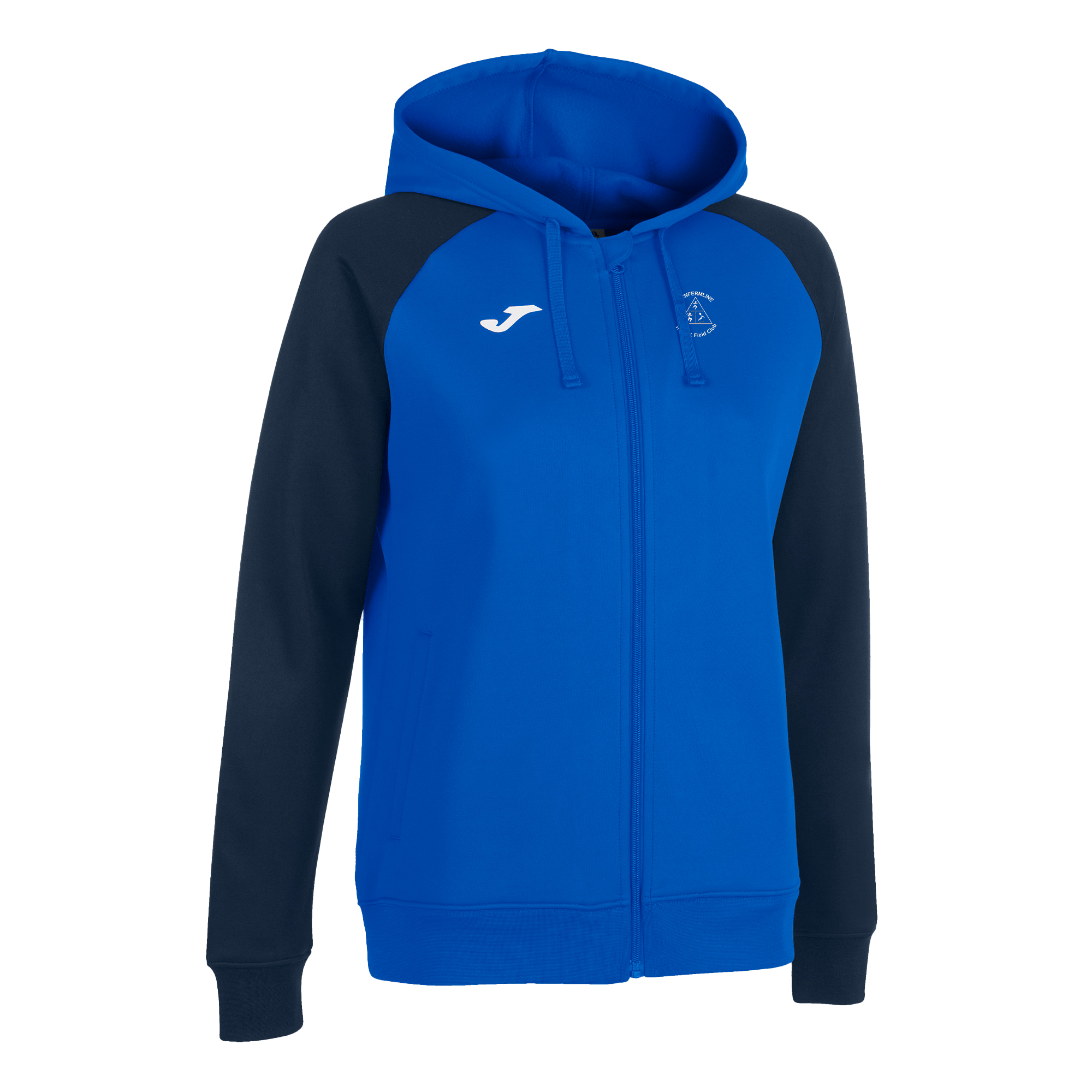 dunfTaf_Academy IV Hoody .901336.703