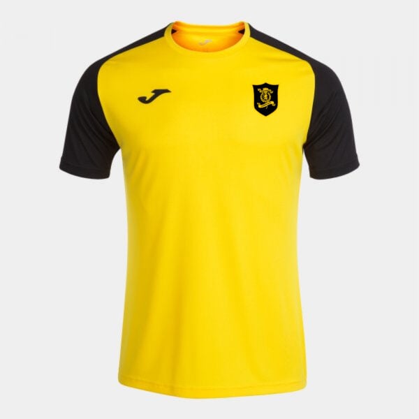 Livingston CFC Academy IV Training Shirt