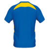 Adrien_RoyYel_Swifts_Away_Rear