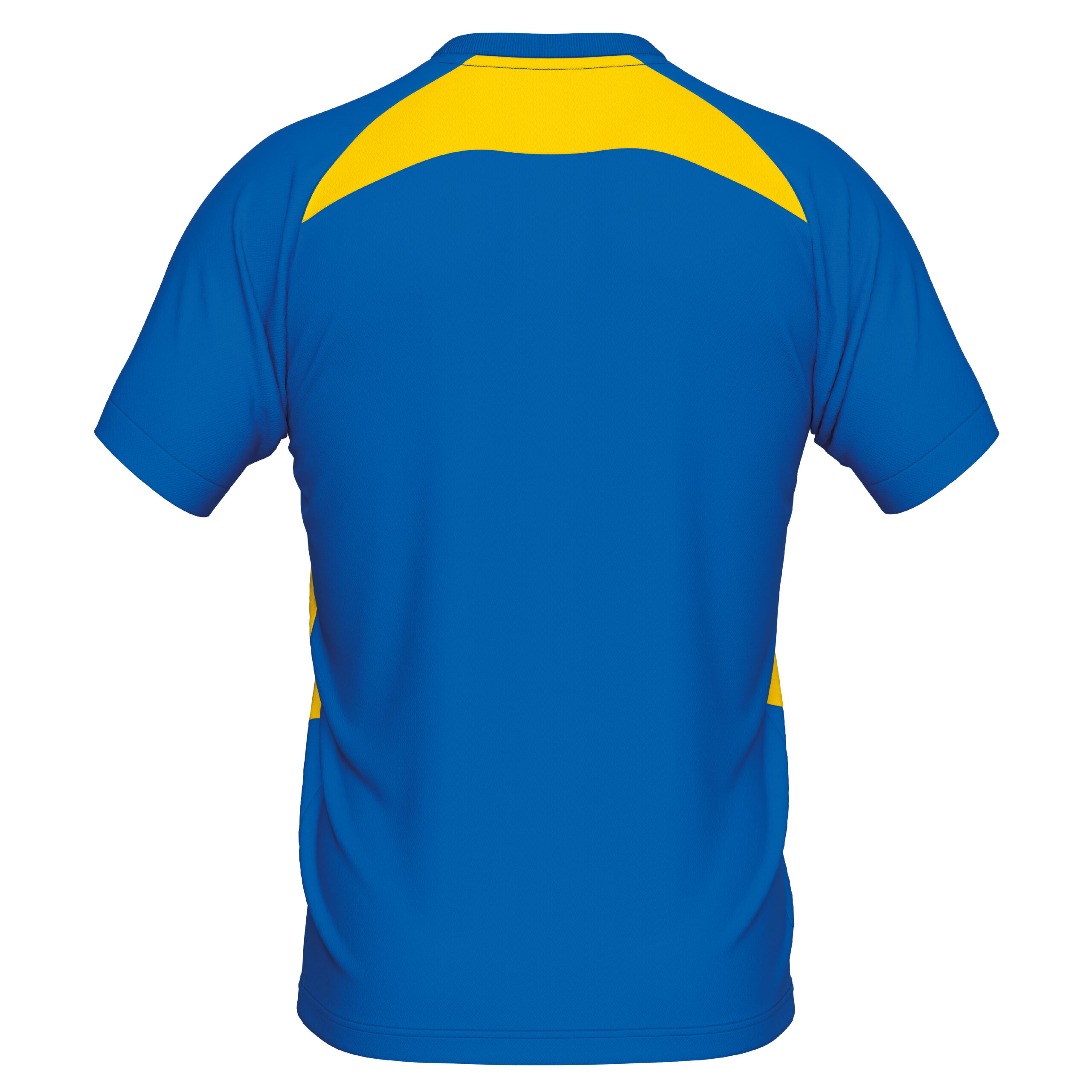 Adrien_RoyYel_Swifts_Away_Rear